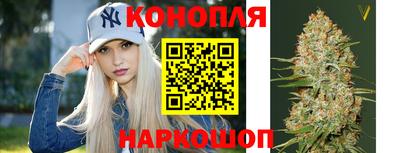 apvp Кунгур