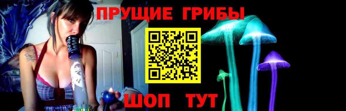 дарнет шоп  Вход с VPN  Псилоцибиновые грибы ЛСД  Ярославль  Псилоцибиновые грибы Magic Shrooms 