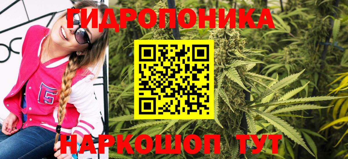 Ярославль  Марихуана индика  Канабис THC 21%  Вход с VPN  Бошки марихуана конопля 